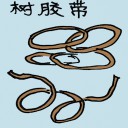 4D number 037 in 大伯公 3D dream dictionary