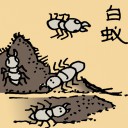 4D number 039 in 大伯公 3D dream dictionary