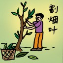 4D number 355 in 大伯公 3D dream dictionary