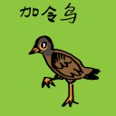 4D number 911 in 大伯公 3D dream dictionary