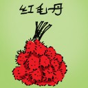 4D number 937 in 大伯公 3D dream dictionary