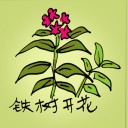 4D number 0155 in Damacai dream dictionary