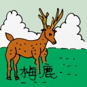 4D number 0516 in Damacai dream dictionary