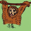 4D number 0520 in Damacai dream dictionary - Ape (猿)