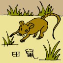 4D number 0563 in Damacai dream dictionary