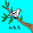 4D number 0601 in Damacai dream dictionary