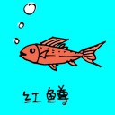 4D number 0683 in Damacai dream dictionary