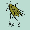 4D number 0808 in Damacai dream dictionary