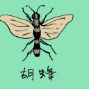 4D number 0816 in Damacai dream dictionary