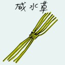4D number 1625 in Damacai dream dictionary