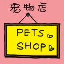 4D number 2277 in Damacai dream dictionary