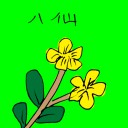 4D number 3486 in Damacai dream dictionary