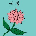 4D number 3511 in Damacai dream dictionary