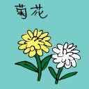 4D number 3517 in Damacai dream dictionary