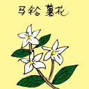 4D number 3520 in Damacai dream dictionary