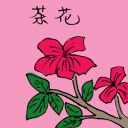 4D number 3527 in Damacai dream dictionary