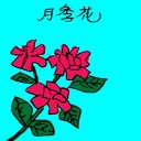 4D number 3532 in Damacai dream dictionary