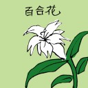 4D number 3533 in Damacai dream dictionary