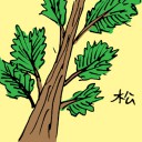 4D number 3537 in Damacai dream dictionary