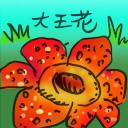 4D number 4412 in Damacai dream dictionary