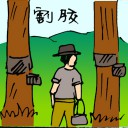 4D number 5566 in Damacai dream dictionary