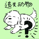 4D number 8465 in Damacai dream dictionary