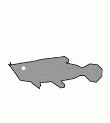 4D number 0708 in Magnum dream dictionary - Silver Arowana (银龙鱼)