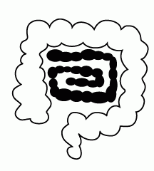 4D number 0867 in Magnum dream dictionary