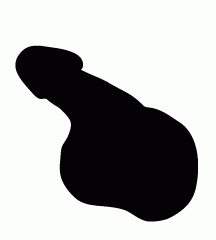 4D number 0888 in Magnum dream dictionary - Penis (阳具)