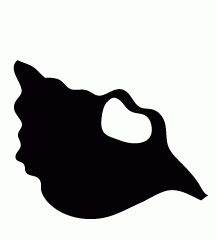 4D number 1165 in Magnum dream dictionary