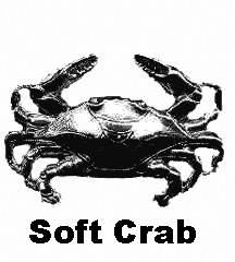 4D number 1567 in Magnum dream dictionary