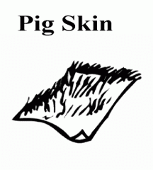 4D number 3568 in Magnum dream dictionary