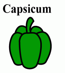 4D number 3624 in Magnum dream dictionary