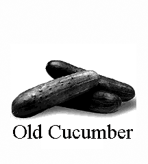 4D number 3738 in Magnum dream dictionary