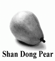 4D number 3847 in Magnum dream dictionary