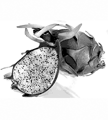 4D number 3859 in Magnum dream dictionary - Dragon Fruit (龙果)