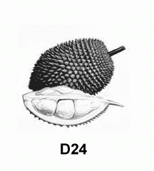 4D number 4146 in Magnum dream dictionary