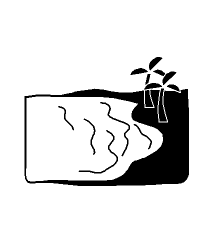 4D number 5464 in Magnum dream dictionary