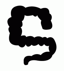 4D number 6808 in Magnum dream dictionary
