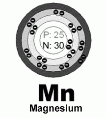 4D number 7370 in Magnum dream dictionary