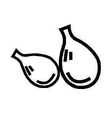 4D number 8613 in Magnum dream dictionary