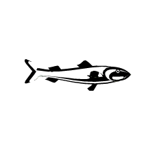 4D number 9225 in Magnum dream dictionary