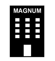 4D number 9513 in Magnum dream dictionary