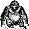 4D number 0520 in SportsToto dream dictionary - Ape (猿)