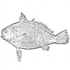 4D number 0639 in SportsToto dream dictionary
