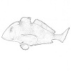 4D number 0644 in SportsToto dream dictionary