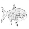 4D number 0665 in SportsToto dream dictionary