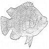 4D number 0666 in SportsToto dream dictionary