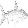 4D number 0670 in SportsToto dream dictionary
