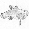 4D number 0674 in SportsToto dream dictionary